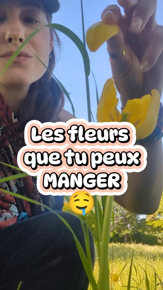 🪻💐🌼💐VA BIEN MANGER TES FLEURS 🏵️🌹🌷🌺

Mais CUIDADO on le rappellera jamais assez : on ne mange pas n'importe quoi n'importe comment ❌

Dans cette vidéo, quelques suggestions de fleurs comestibles que vous pouvez trouver dans la nature, en sauvage, et/ou dans votre jardin !

Tout ça est loiiiin d'être exhaustif, c'est une mini intro pour vous donner envie de vous intéresser au sujet.

Si vous avez envie de tester les fleurs comestibles mais que vous ne vous sentez pas d'en récolter par vous même, ne prenez pas de risque et achetez-en à des agriculteur.ices ! 

Si vous en produisez, n'hésitez pas à vous signaler en commentaire, avec votre région et comment passer acheter chez vous 💖 
Et si vous avez des recettes préférées, n'hésitez pas à les proposer aussi en commentaire ! 

Moi ma vie c'est les fleurs d'ail des ours 🥹 

Allez bisous !
.
.
.
#cueillette #cueillettesauvage #plantessauvagescomestibles #fleurscomestibles #cuisinerlesfleurs #autonomiealimentaire #survivalisme #randonnée #jardinage #cuisinevégétale